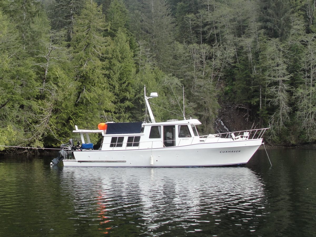 The Cuxhaven anchored beneath misty old-growth forest